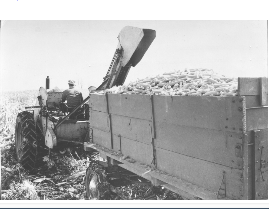  Harvesting popcorn with a mechanical picker..” Special Collections, USDA National Agricultural Library. Accessed January 17, 2024, https://www.nal.usda.gov/exhibits/speccoll/items/show/469.